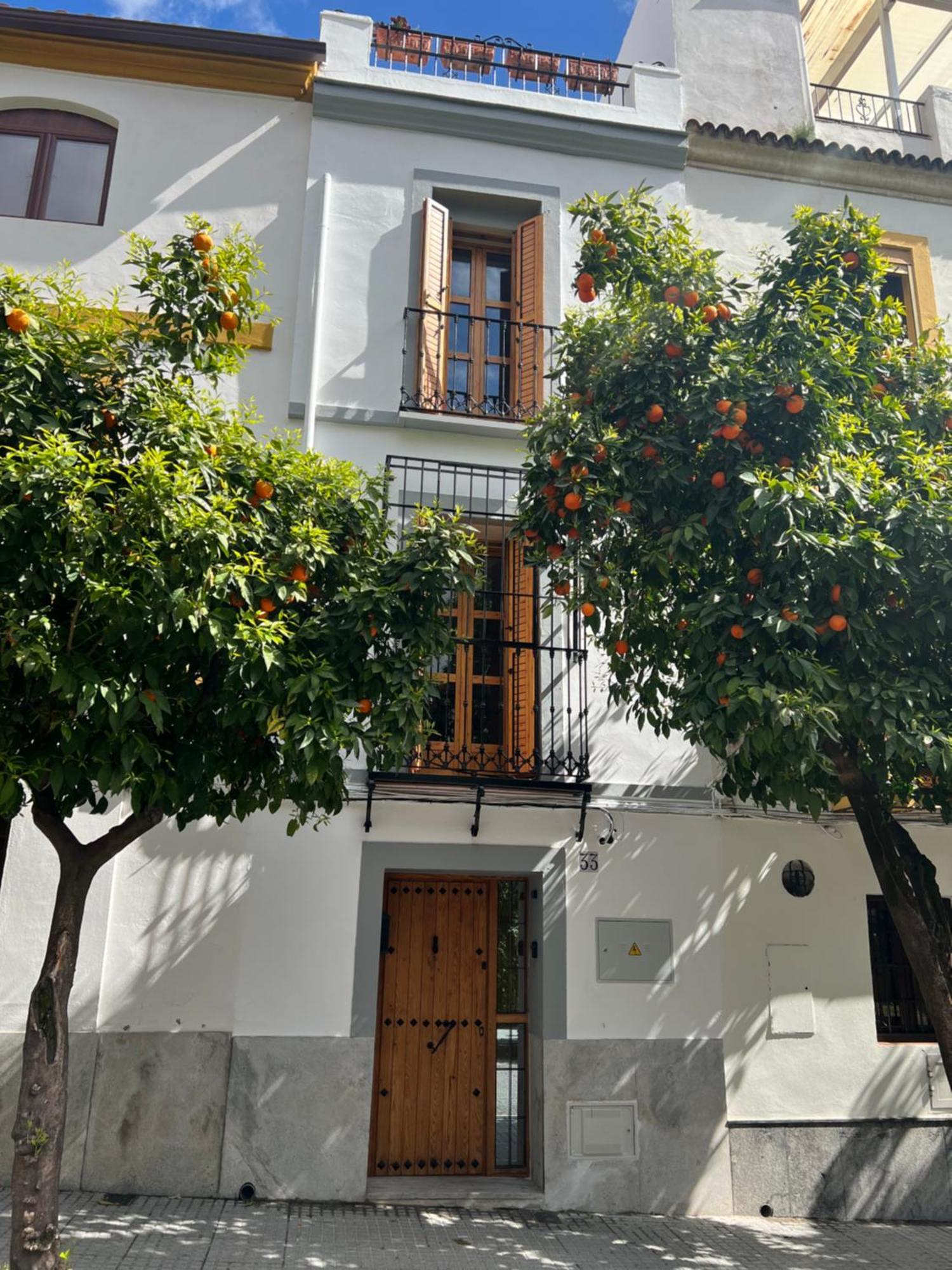 San Fernando 33 Villa Kordoba Bagian luar foto